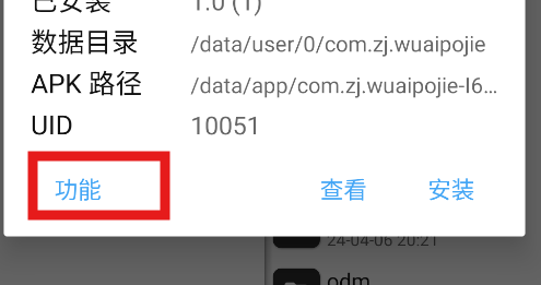 image-20240406202910005